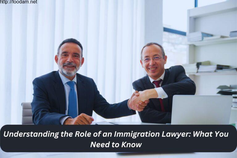 the role of an immigration lawyer