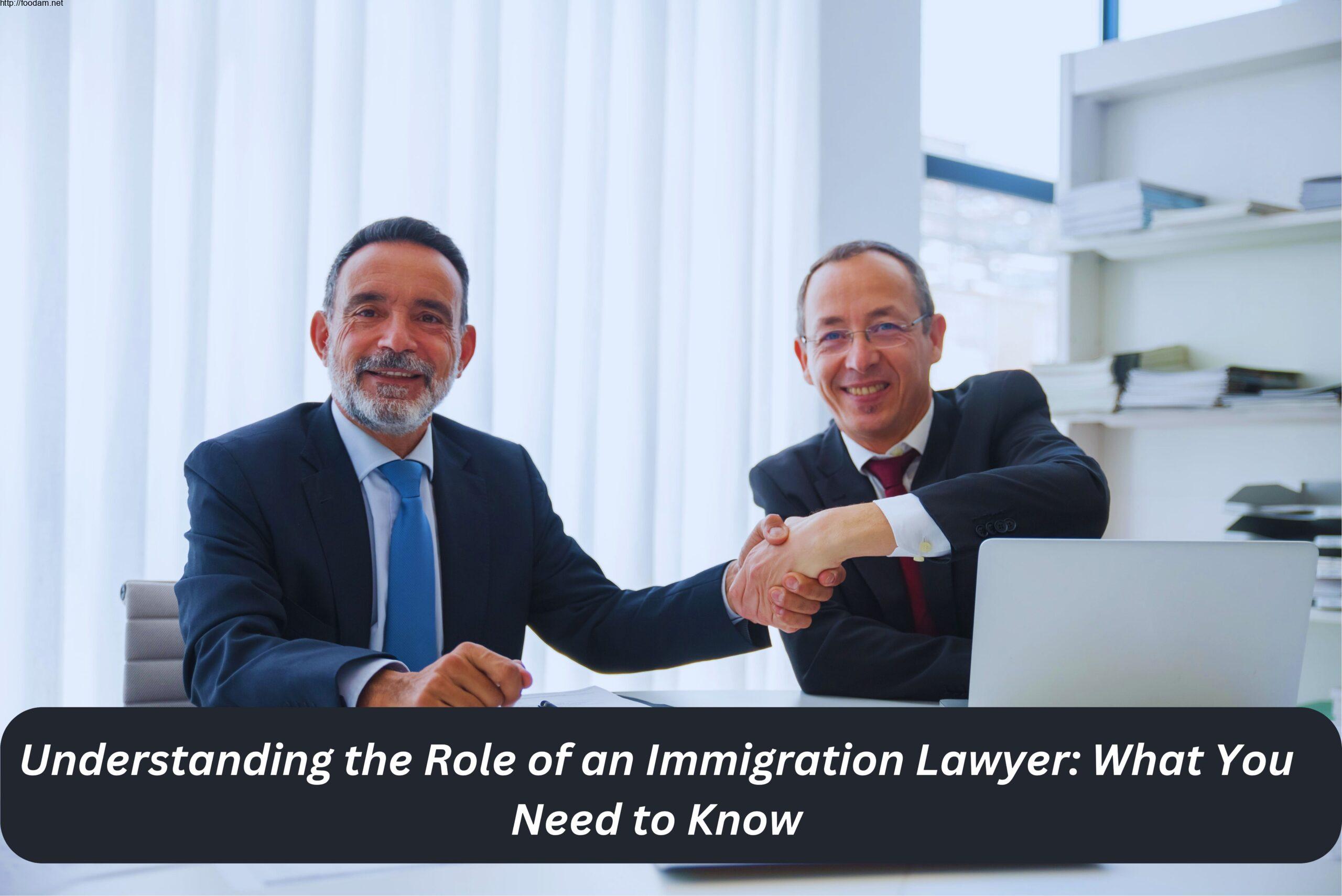 the role of an immigration lawyer